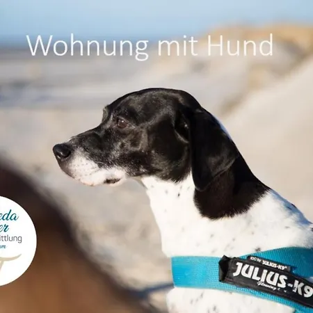 Haus Jungnamen Whg. 12 Wittdun